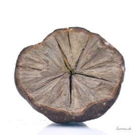 Marcassite - Minéraux - 337g