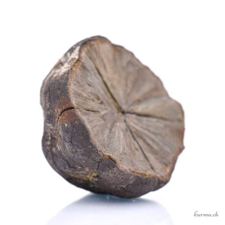 Marcassite - Minéraux - 337g