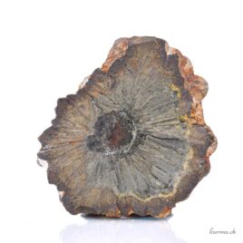 Marcassite - Minéraux - 196g
