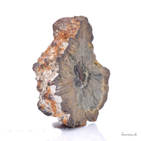 Marcassite - Minéraux - 196g