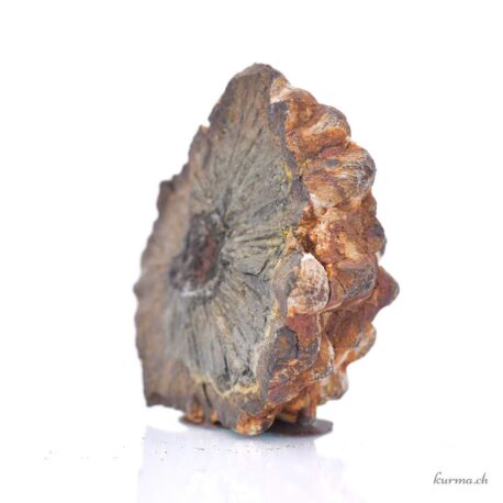 Marcassite - Minéraux - 196g