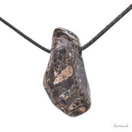 Agate turitelle - Bijou en pierre percée