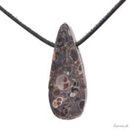 Agate turitelle - Bijou en pierre percée