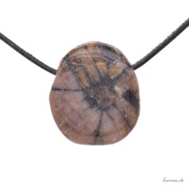 Chiastolite - Bijou en pierre roulée
