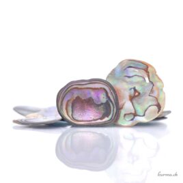Abalone roulée en lot - 50gr