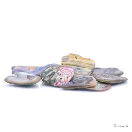 Abalone roulée en lot - 50gr