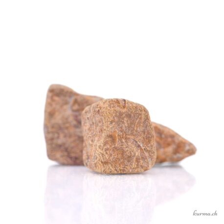 Jaspe serpent brute en lot - 100gr