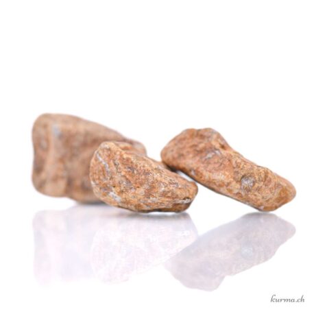 Jaspe serpent brute en lot - 100gr