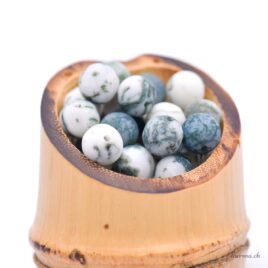Agate mousse mate - Perles 8-8.5mm - Claire