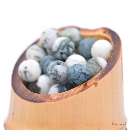Agate mousse mate - Perles 8-8.5mm - Claire