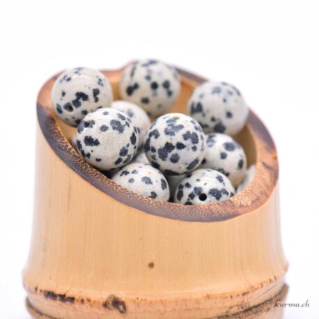 Dalmatian Jasper - 10mm beads