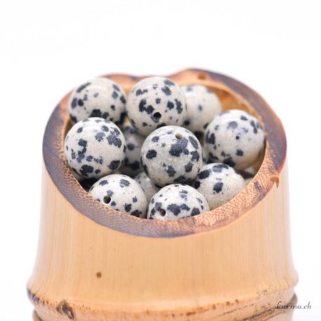 Dalmatian Jasper - 10mm beads