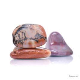 Bois fossilisé 'Os de mammouth' - Pierre roulée - Taille S