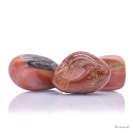 Bois fossilisé 'Os de mammouth' - Pierre roulée - Taille M