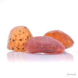 Cornaline - Brute de poche arrondis - Taille M