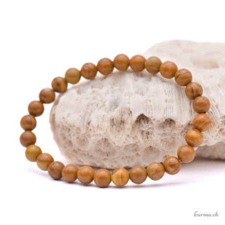Bracelet Bois fossilisé 6.5mm