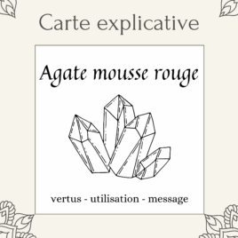 Carte lithothérapie Agate mousse rouge