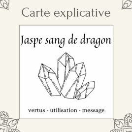 Dragon's Blood Jasper Lithotherapy Card