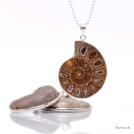 Ammonit – Anhänger mit eingefasstem Stein – Qualität A
