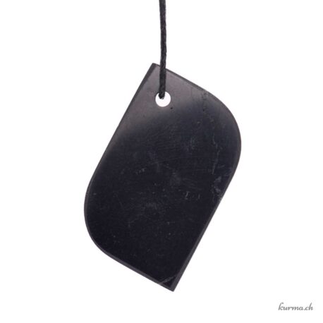 Shungit – Steinanhänger – Blatt
