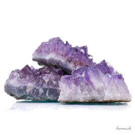 Druse grandi di ametista - Taglia XL