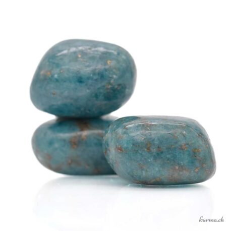 Disthène et Lazulite sur Quartz - Pierre roulée - Taille L