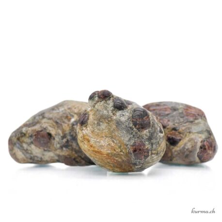 Grenat, Mica et Disthène - Pierre roulée - Taille M