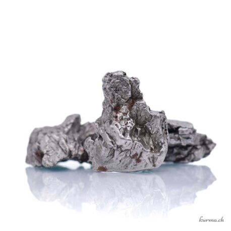 Météorite Campo del Cielo - Spécimen brut - Pièce unique