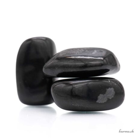 Néphrite avec magnétite ' Jade magnétique ' - Pierre roulée - Taille L