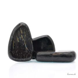 Nuummite - Pierre roulée - Pièce unique