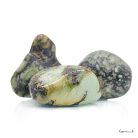 Variscite avec Wavellite - Pierre roulée - Taille L