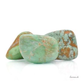 Variscite - Pierre roulée - Taille M